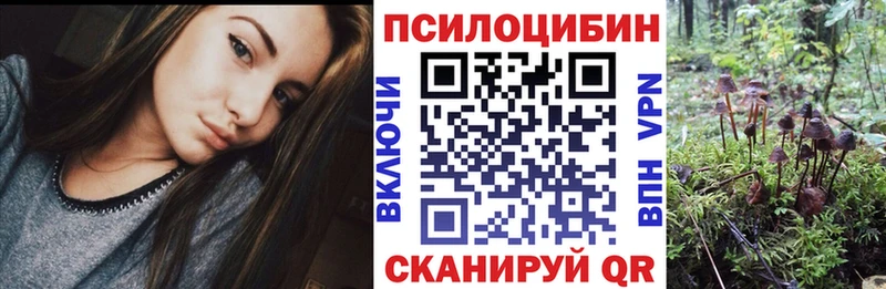 Галлюциногенные грибы GOLDEN TEACHER  blacksprut зеркало  Алзамай  как найти закладки 